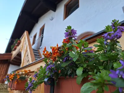 Ferienwohnung für 3 Personen (55 m²) in Schönau am Königssee 3/10