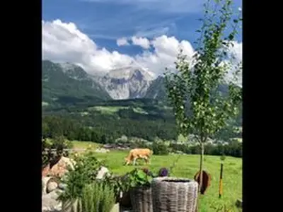 Sonniger Tag