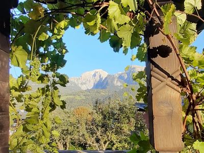 Blick durch den Weintrauben-Bogen vom Liegestuhl auf ihrem Rundum-Balkon im Sommer