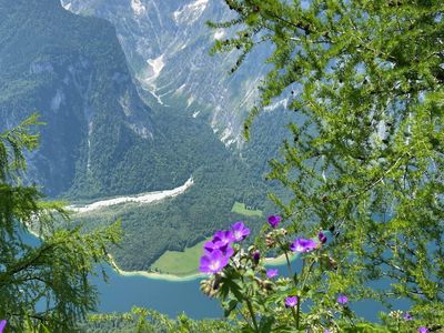 Blick auf Königssee