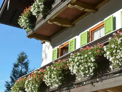 Eigener sonniger Süd-Balkon