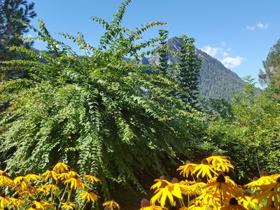 Ferienwohnung für 4 Personen (54 m²) in Schönau am Königssee 9/10