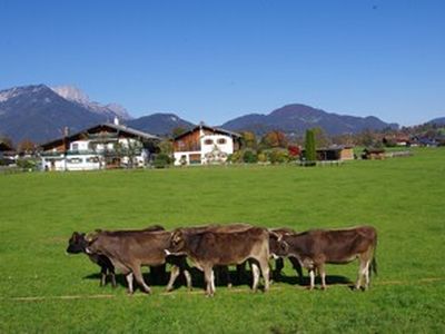 Ferienwohnung für 2 Personen (40 m²) in Schönau am Königssee 7/10