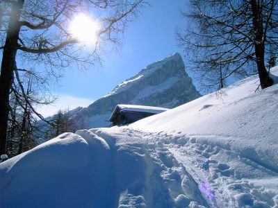 Falzalm im Hintergrund die Watzmannfrau