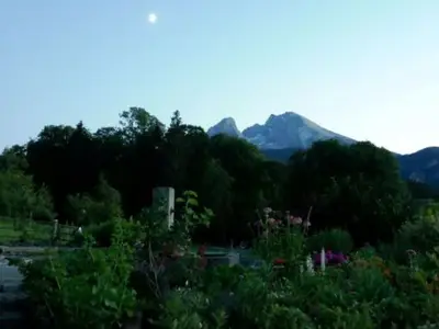 Garten Sommer