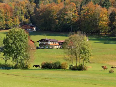 Haus_Feld