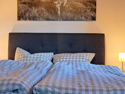 Doppelbett 160x200 cm