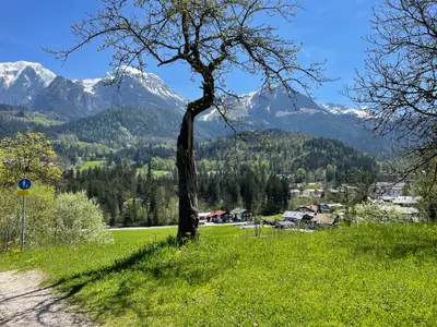 Blick vom Hof