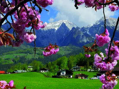 Ausblick