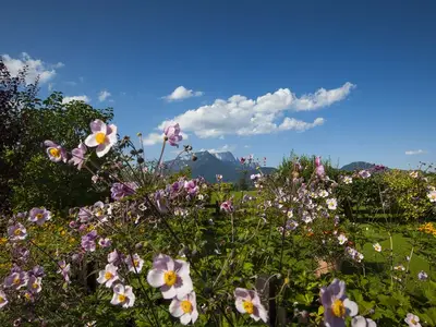 Blumen
