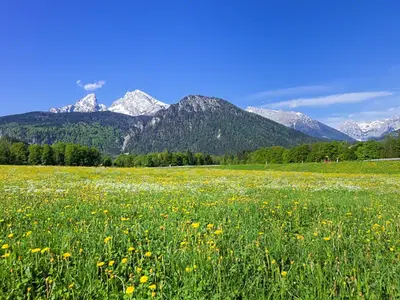 Ferienwohnung für 4 Personen (75 m²) in Schönau am Königssee 4/9