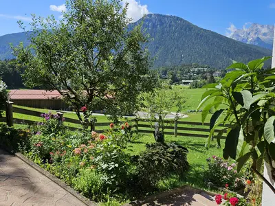 Blick zum Grünstein