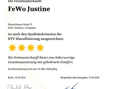 Klassifizierung DTV