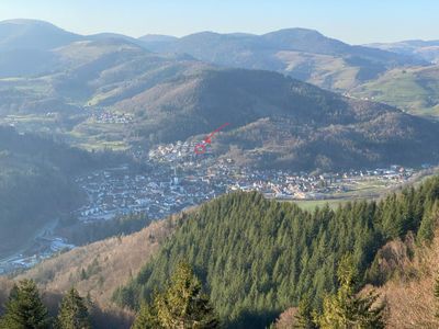 Ferienwohnung für 4 Personen (50 m²) in Schönau im Schwarzwald 10/10