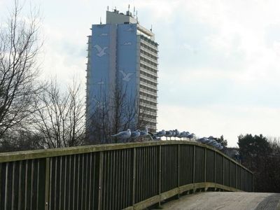 Ferienwohnung für 3 Personen (40 m²) in Schönberg 2/10