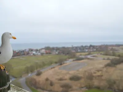 Ferienwohnung für 2 Personen (30 m²) in Holm 1/9