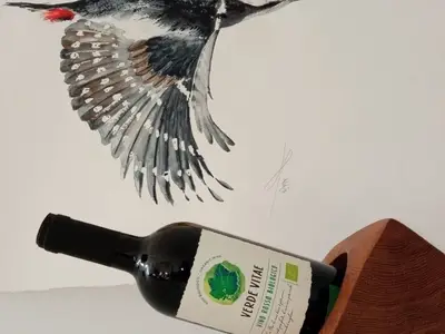 Ferienwohnung für 3 Personen (67 m²) in Schönberg 5/10