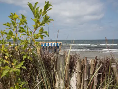 Ferienwohnung für 4 Personen (45 m²) in Schönberg 10/10
