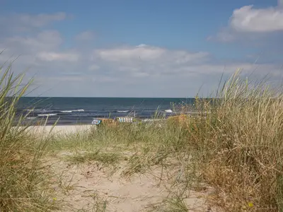 Ferienwohnung für 4 Personen (45 m²) in Schönberg 10/10