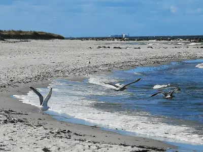 Ferienwohnung für 4 Personen (70 m²) in Schönberg 7/7