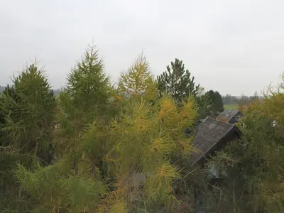 Ferienwohnung für 5 Personen (40 m²) in Schönberg 9/10