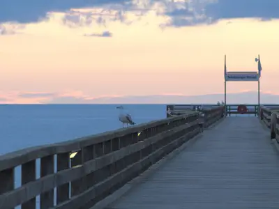 Ferienwohnung für 4 Personen (60 m²) in Schönberg 3/10