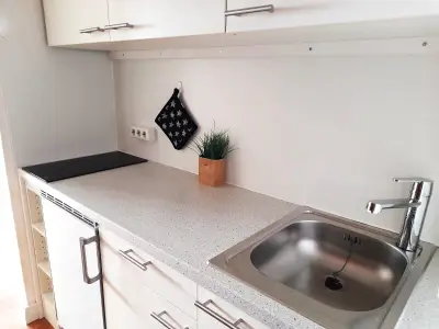 Ferienwohnung für 2 Personen (33 m²) in Holm 10/10