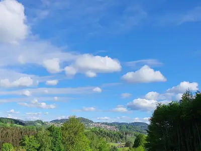 Ausblick