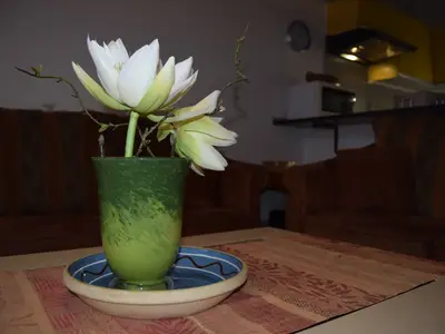 Ferienwohnung für 4 Personen (61 m²) in Schönberger Strand 5/10