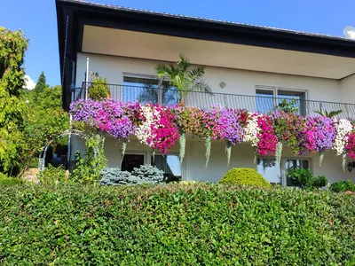 Haus Alexandra