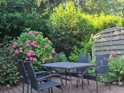 Ferienwohnung für 2 Personen (41 m²) in Schönhagen (Ostseebad) 2/10