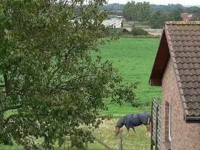 Ferienwohnung für 4 Personen (45 m²) in Schönhagen (Ostseebad) 5/8