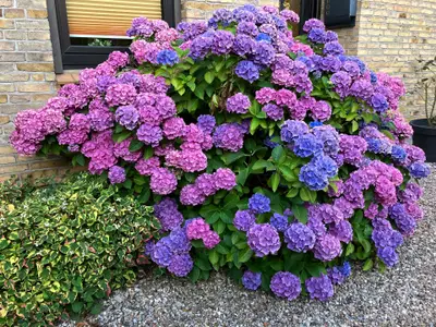 Ferienwohnung für 4 Personen (45 m²) in Schönhagen (Ostseebad) 2/10