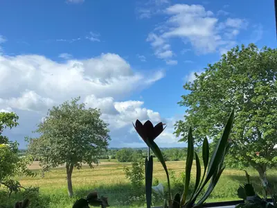 Ferienwohnung für 4 Personen (50 m²) in Schönhagen (Ostseebad) 2/10