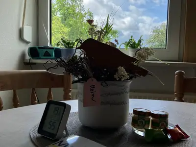 Ferienwohnung für 4 Personen (50 m²) in Schönhagen (Ostseebad) 3/10