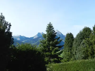 Aussicht Chalet Les Hivernants_Sommer_3