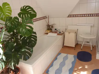 Ferienwohnung Aschka Garten