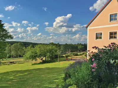 ViewSummer