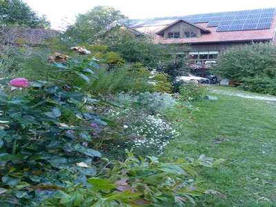 GardenSummer