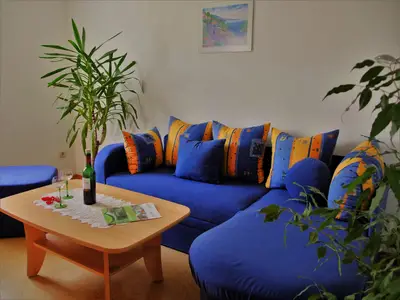 Wohnzimmer Couch
