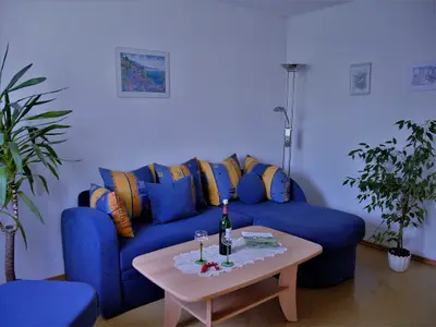 Wohnzimmer Couch