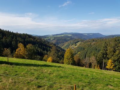 Ferienwohnung für 4 Personen (60 m²) in Schönwald im Schwarzwald 7/10