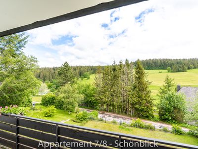 Ferienwohnung für 4 Personen (69 m²) in Schönwald im Schwarzwald 3/10