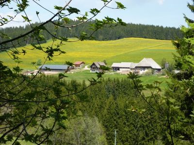 Ferienwohnung für 3 Personen (40 m²) in Schönwald im Schwarzwald 3/10