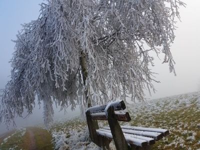 Ferienwohnung für 3 Personen (40 m²) in Schönwald im Schwarzwald 7/10