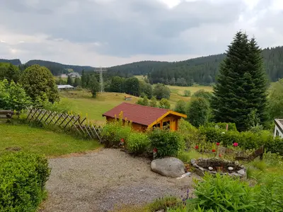 Blick in den Garten