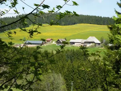 Ferienwohnung für 6 Personen (104 m²) in Schönwald im Schwarzwald 3/10