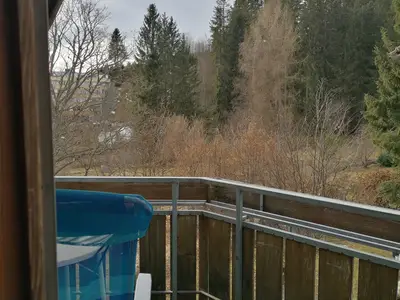 Ferienwohnung für 3 Personen (55 m²) in Schönwald im Schwarzwald 9/10