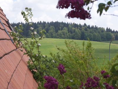 Ferienwohnung für 4 Personen (70 m²) in Schopfheim 4/10