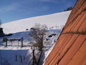 19474131-Ferienwohnung-4-Schopfheim-300x225-5